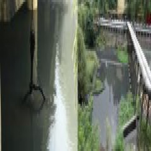 【长城评论】33张罚单难阻违法排污，如此“执法”也是一种形式主义