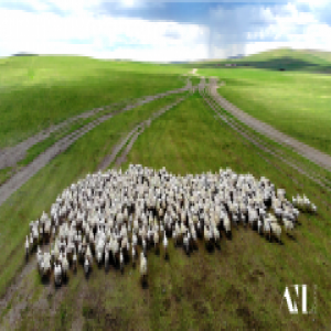 阿图纳拉App 7月18日苹果安卓双端上线，正式推出“云养羊”计划