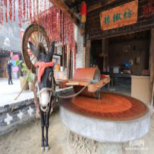 两岸媒体到河北保定进行参访交流 旅游扶贫引关注