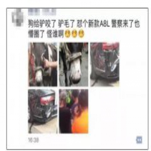 怪谁？驴被咬受惊踢奥迪 驴子自知做错事耷拉着头一脸无辜