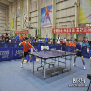 河北省第十五届省运会群众体育组乒乓球团体赛收官
