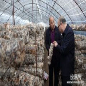 津承手拉手 共奔小康路——精准脱贫攻坚看承德（三）