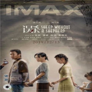 电影《误杀》曝IMAX专属海报