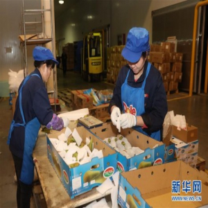 走进第二届进博会参展企业