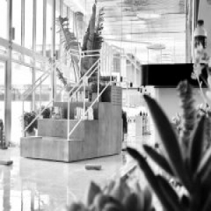 石景山公益书房本周末开放 市民可享免费阅读体验