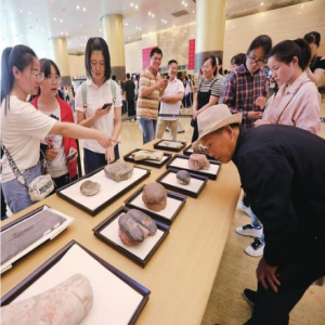 “5·18国际博物馆日”山东主场活动异彩纷呈