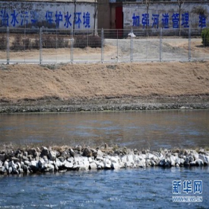 “引滦入津”：一座流动的丰碑