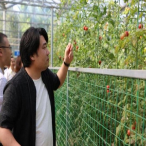 厉害了！寿光不但给全国供蔬菜，还在制定蔬菜质量标准