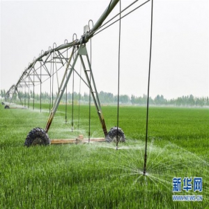 河北武强：循环链条助推现代农业提质增效