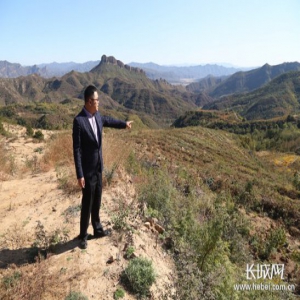 【来自扶贫一线的报告】龙潭村：夏有花，秋有果，连翘连起脱贫路