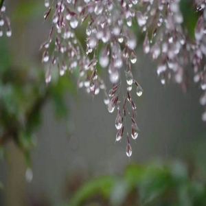 雨＋降温10℃！寒露来了，冷空气连拨到！