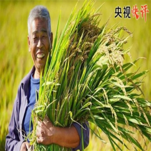 【央视快评】更好的日子还在后头