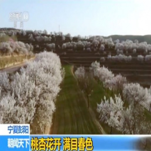安徽歙县：杜鹃花开漫山艳 人面相映满山红