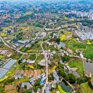 四川广安：航拍锦绣田园 画里乡村