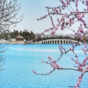 北京：春到颐和 花开似锦