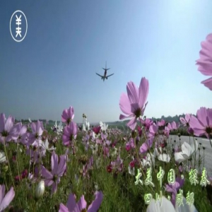 这个地方，初见即恋