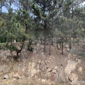 违法墓地问题别都等媒体曝光再重视