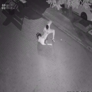 找到地方了！女孩遭暴打拖行事发大连 警方立案调查