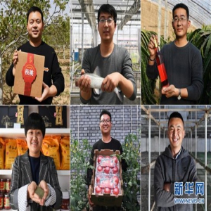 几位“新农民”的返乡创业故事