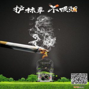 护林草，不吸烟！最炫春季防火海报来袭