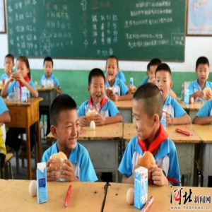 今年秋季学期起河北将又有103县277万农村小学生可享营养餐