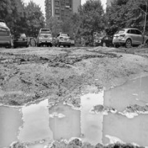 南庭新苑南区乱停车毁了绿地 雨天草坪变泥塘