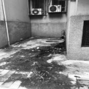 翠林小区一里19号楼 雨水管排污水臭味熏人