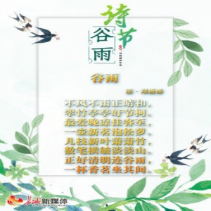 谷雨诗节丨芳草鹅儿，绿满微风岸