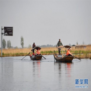 (壮丽70年·奋斗新时代)从革命老区到雄安新区白洋淀迎来新生