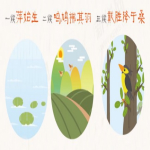 谷雨丨雨声百谷，告别最后的春天