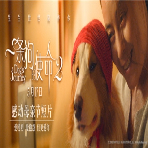 《一条狗的使命2》发布母亲节视频