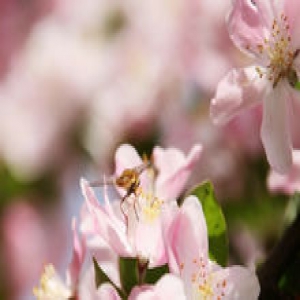 河北大部晴间多云气温开始回升 均在20度以上