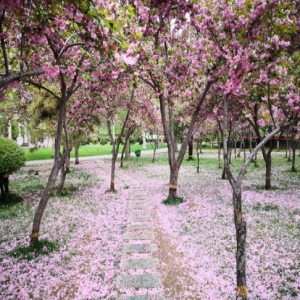 风雨过后迎来晴天，河北大部持续升温