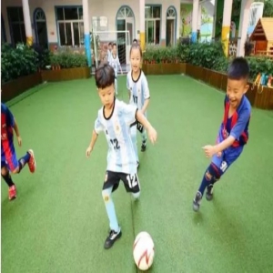 家长们注意！河北6市县将设立足球特色幼儿园！快看都是哪？