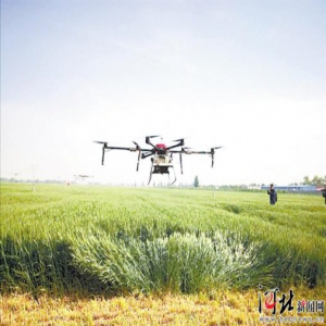 河北省农业主推技术到位率达95%以上