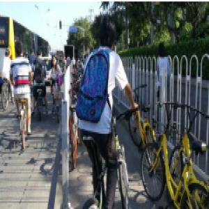 西四环定慧北桥辅路 自行车道咋成单车停放点