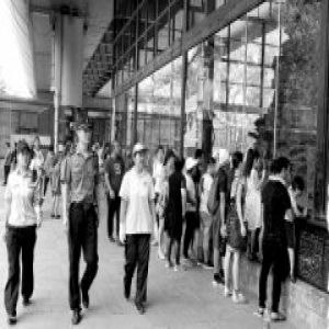 不听劝阻、随意投喂动物要受罚了