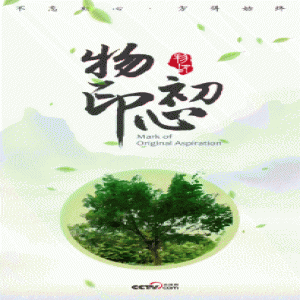 高山榕树望初心