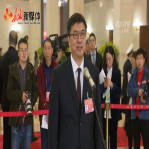 陈刚代表谈雄安建设：我们河北省也挺拼的