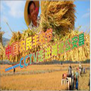 四季绿健康农业 CCTV唱响中国农民丰收节