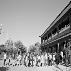 “520”！新人排队领结婚证 河北省16780对新人领证