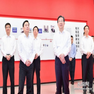 南京市党政代表团到雄安新区考察