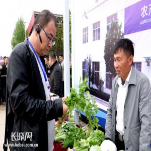 【高清组图】人气爆棚！快来看第四届京津冀“蔬菜大会”中的“明星”