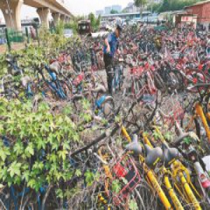 执法部门头疼：北京三千被暂扣共享单车为何无人领