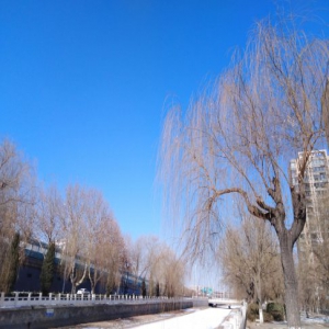 《奔跑吧！河北》系列报道① 蓝天绿水不是梦，2019，河北生态治理这么干！