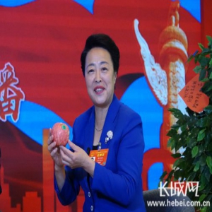 【北京特稿】冀果出太行