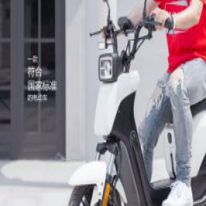 这款完全符合国标标准的立马电动车，了解一下？