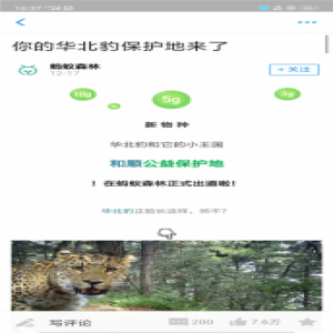 支付宝蚂蚁森林上线华北豹保护地 1平方米需要820g绿色能量