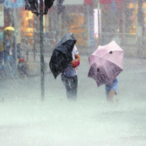 风利雨奇，“马”横