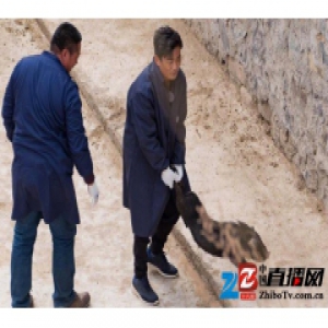 王宝强下乡抓猪朋友圈强大 百亿地产大亨打下手